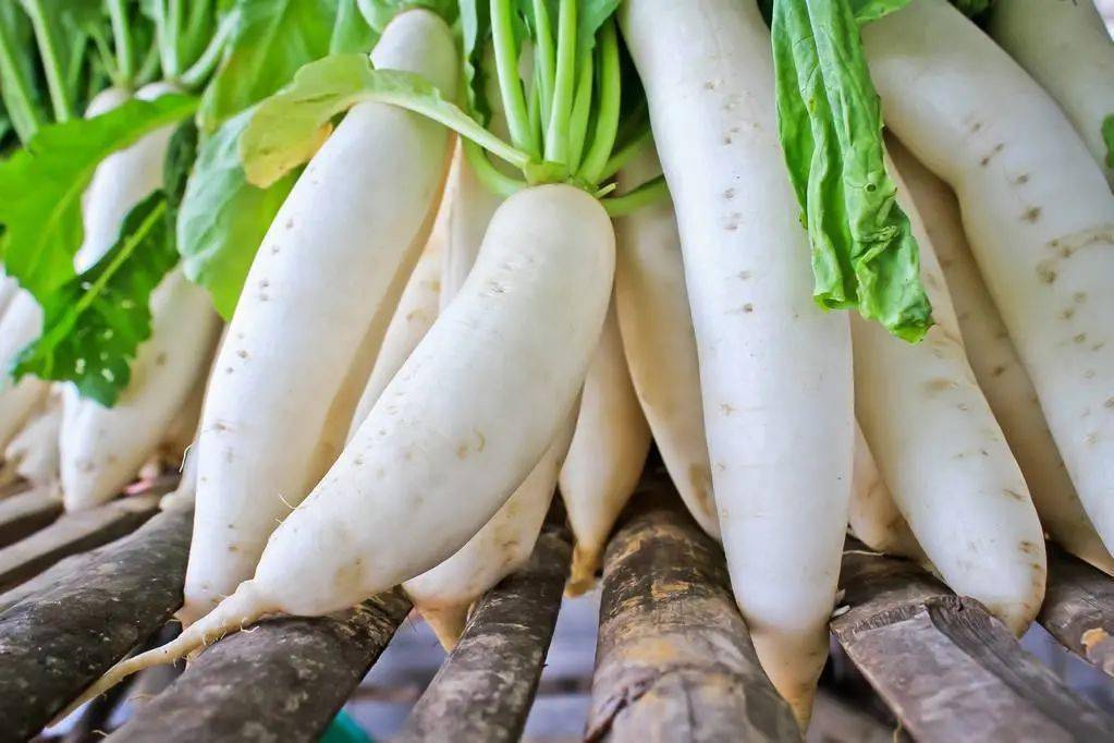 蔬菜配送公司承包食堂的優(yōu)勢。