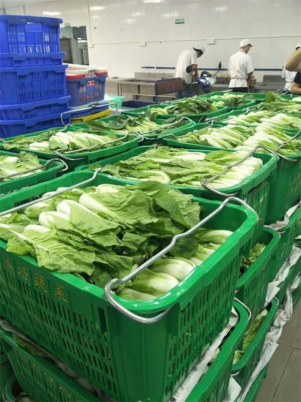 學(xué)校食堂蔬菜配送 學(xué)校食堂蔬菜配送