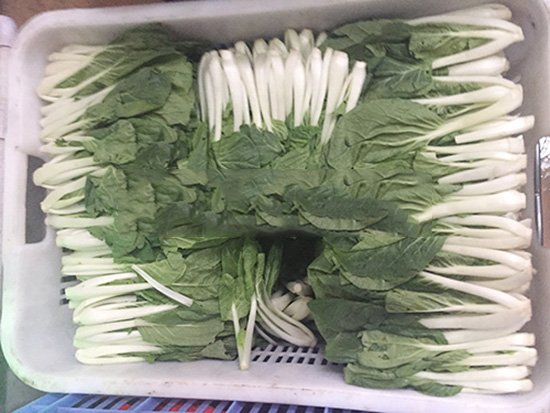 農產品配送